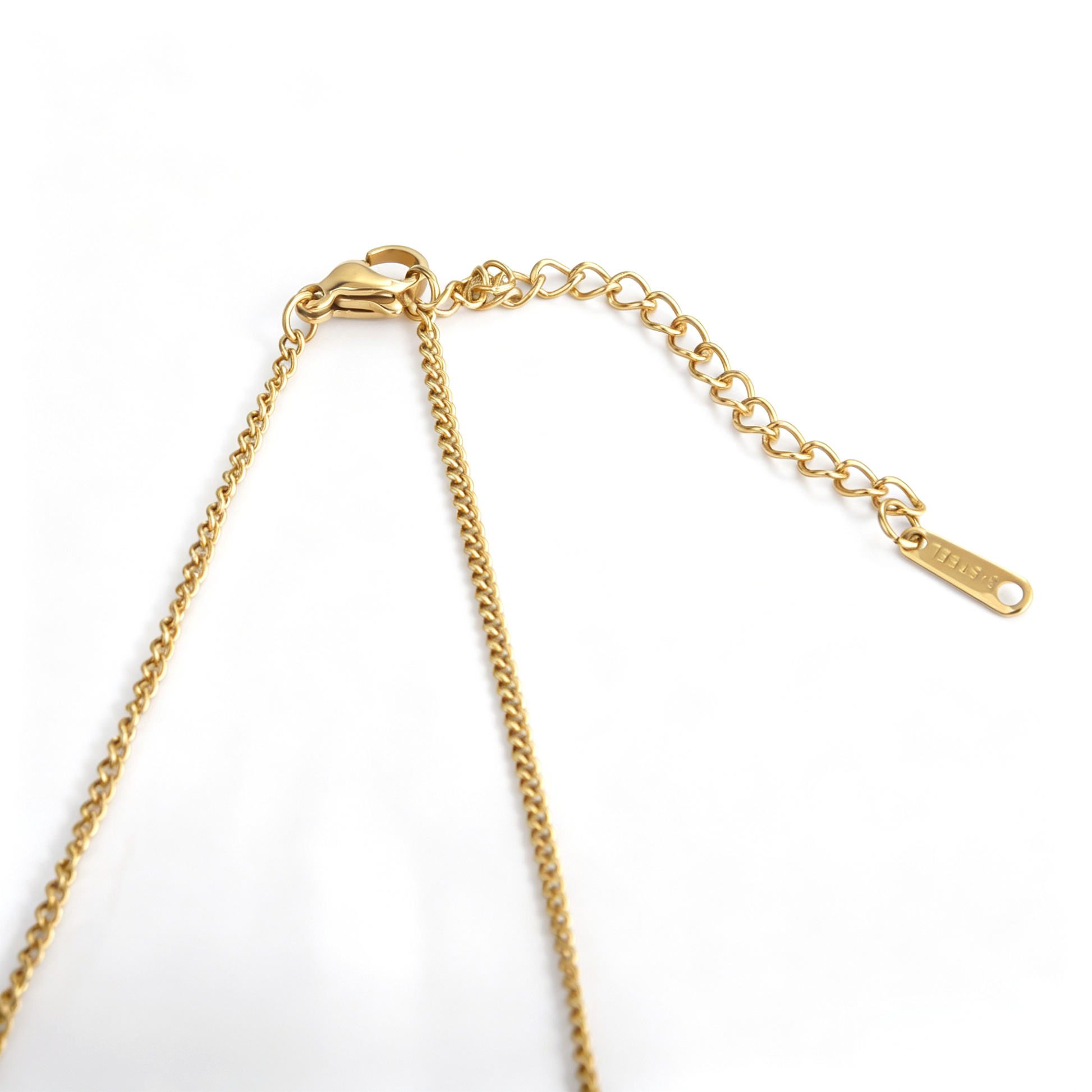 Lobster clasp and extender chain detail on the gold-tone necklace.